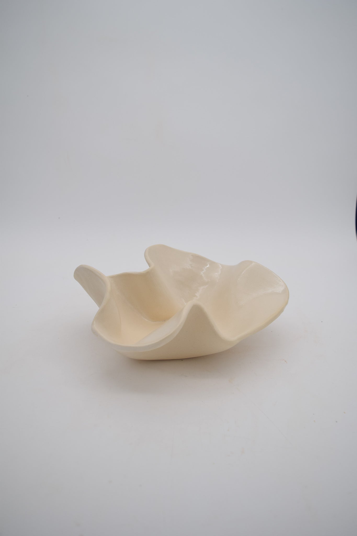 Wave Bowls